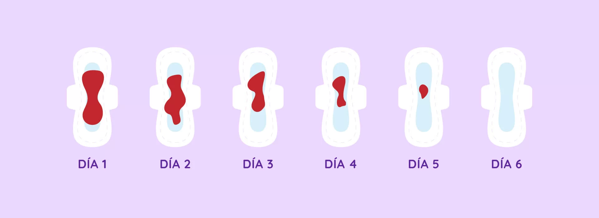 10 preguntas comunes sobre la menstruación - Íntima Ecuador