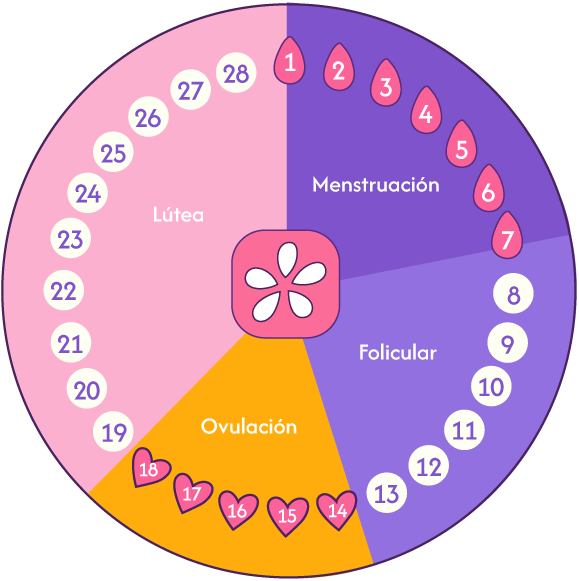 Calculadora del Periodo - Íntima Ecuador