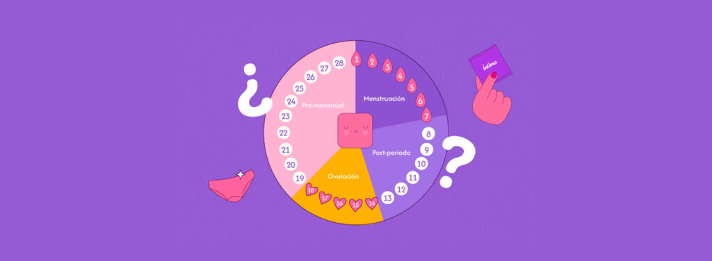 Ciclo menstrual irregular: causas más comunes y cómo identificarlo - Íntima Ecuador